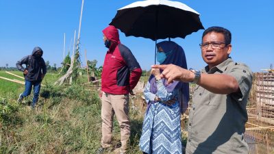 FOTO: kabid DP2 Bersama Dewan Makassar Tinjau Lahan Sawah 400 Hektare Di Tamangapa