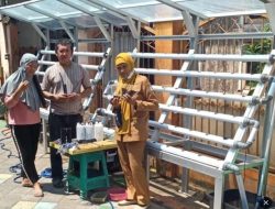 DKP Makassar Beri Bantuan Bibit Tanaman Hidroponik di Lonwis Kec. Rappocini