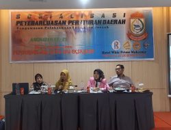 Dewan Makassar Hj Nurul Hidayat,Paparkan Ke konstituen Pentingnya Pemberian ASI Eksklusif