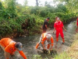 Camat Biringkanaya Intens Turunkan Satgas Drainase guna antisipasi banjir