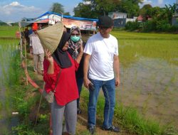 Kunjungi Dapil, Dewan Mario David Usulkan Bantuan Pupuk Dan Mesin Pompa Untuk Petani