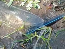 Pipa Air Bersih Milik Warga Asabri Dirusak OTK ,Ketua Spams Sulsel Minta Aparat Usut Pelaku