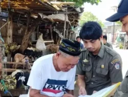 Gunakan Bahu Jalan,Satpol PP Tertibkan Pedagang Hewan Kurban