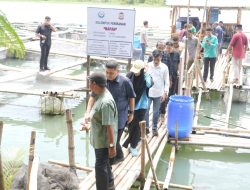 Panen Perdana di Maccini Sombala, Wali Kota Makassar Harap Budidaya Berkelanjutan di Makassar