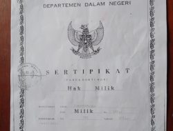Info Sertifikat Hilang