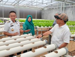 Urban Farming Dream Farm Antang Jadi Percontohan,Camat dan Lurah Langsung Tinjau Lokasi