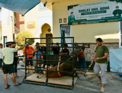 Iduladha 1447 H, Masjid Al Ikhlas Salurkan Daging Kurban untuk Ratusan Warga Manggala Kelurahan Bitowa