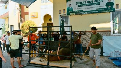 Iduladha 1447 H, Masjid Al Ikhlas Salurkan Daging Kurban untuk Ratusan Warga Manggala Kelurahan Bitowa