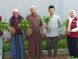 Warga RW 07 Dampang Bira Kelurahan Bangkala Kembangkan Urban Farming Dari Botol Bekas