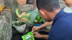 Menuju Adiwiyata Nasional, UPTD SPF SMPN 49 Makassar Gencarkan Aksi Nyata Lingkungan