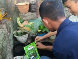 Menuju Adiwiyata Nasional, UPTD SPF SMPN 49 Makassar Gencarkan Aksi Nyata Lingkungan