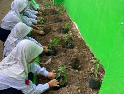 SMPN 47 Makassar, Ubah Lahan Kumuh Jadi Urban Farming