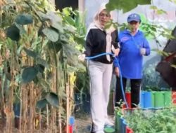 Camat Ujung Pandang Turun Langsung Pantau Drainase hingga Kebun PKK