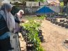 Dukung Program Pemkot, Kepsek SMPN 15 Makassar: Urban Farming Jadi Sarana Edukasi Lingkungan dan Media Pembelajaran