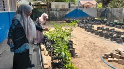 Dukung Program Pemkot, Kepsek SMPN 15 Makassar: Urban Farming Jadi Sarana Edukasi Lingkungan dan Media Pembelajaran