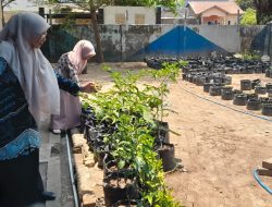 Dukung Program Pemkot, Kepsek SMPN 15 Makassar: Urban Farming Jadi Sarana Edukasi Lingkungan dan Media Pembelajaran