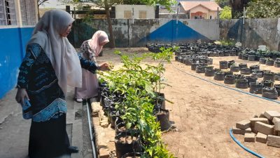 Dukung Program Pemkot, Kepsek SMPN 15 Makassar: Urban Farming Jadi Sarana Edukasi Lingkungan dan Media Pembelajaran