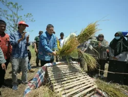 Munafri Salurkan 2.000 Liter Pupuk dan Ribuan Kilogram Benih untuk Kelompok Tani Makassar